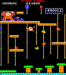 Donkey Kong Jr. gameplay
