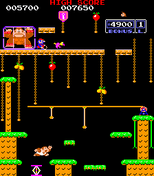 Donkey Kong Jr. gameplay